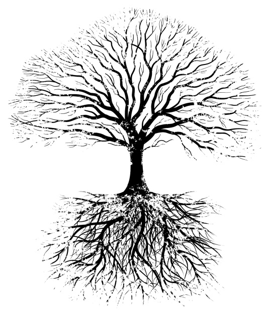tree-with-roots